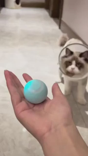 Bola de rolamento automático para gatos