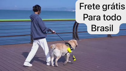 Garrafas de passeio para Cães 3 em 1